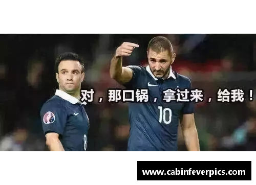 法国队世界杯大名单：姆巴佩、本泽马领衔，博格巴、坎特伤缺 - 副本